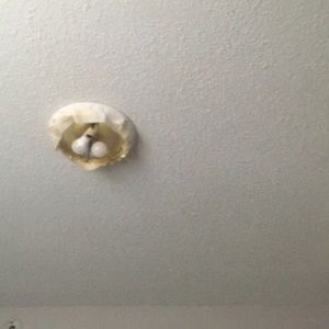 Meet your Posher, Marcus